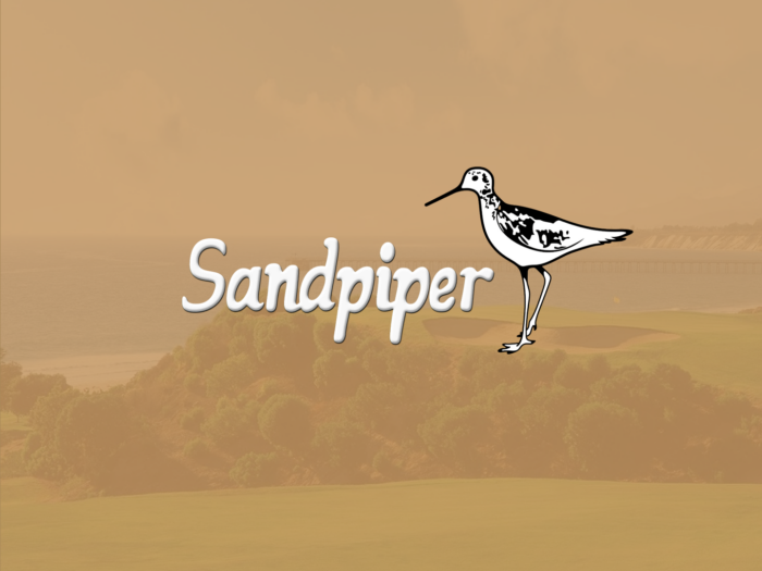 Sandpiper